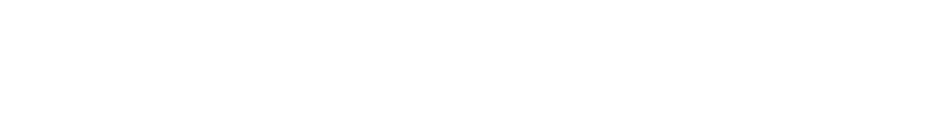 Tyne Campers logo