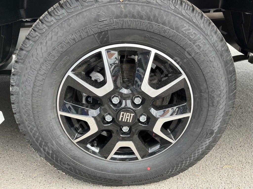 Detail Shot