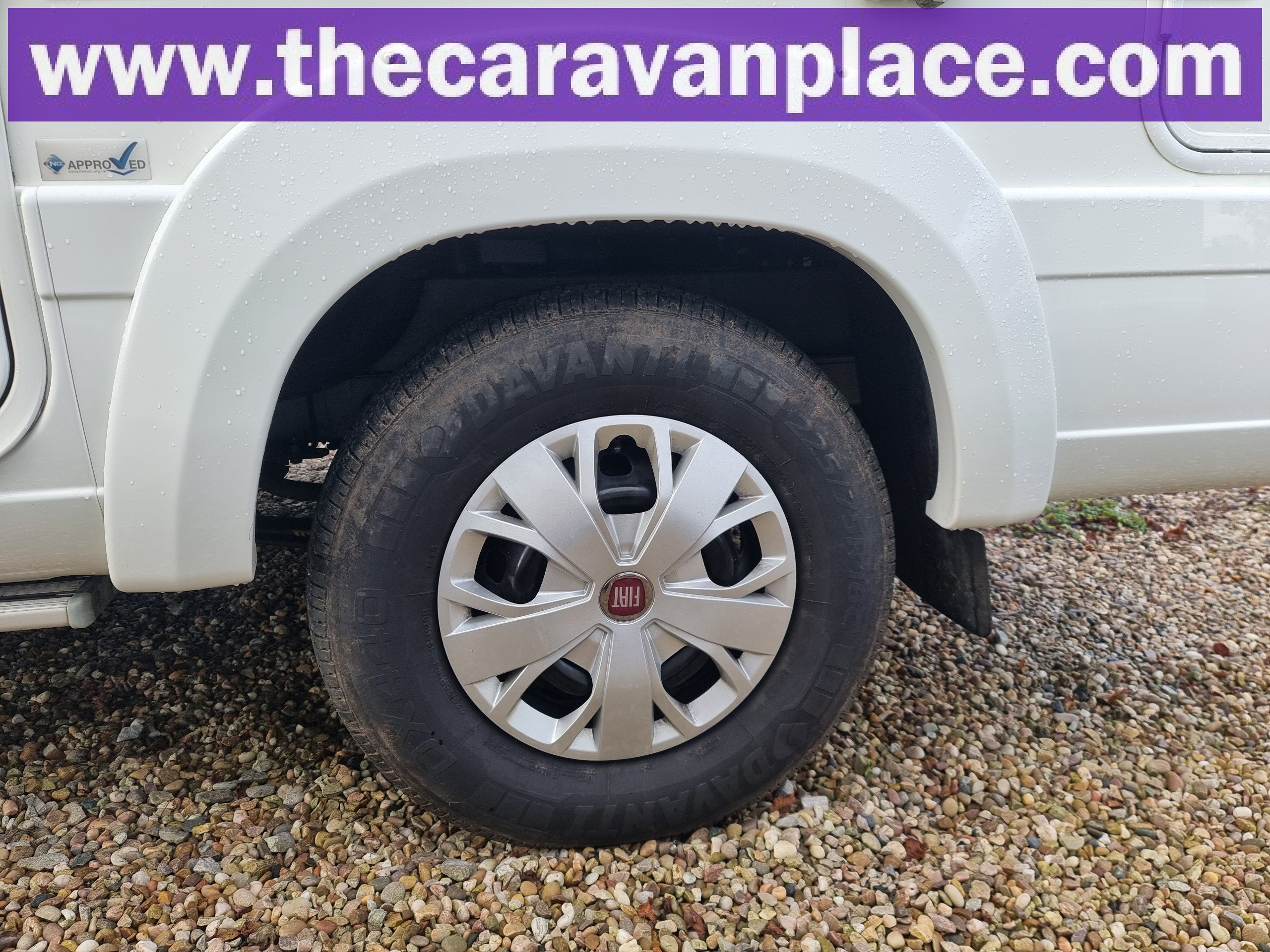 Detail Shot