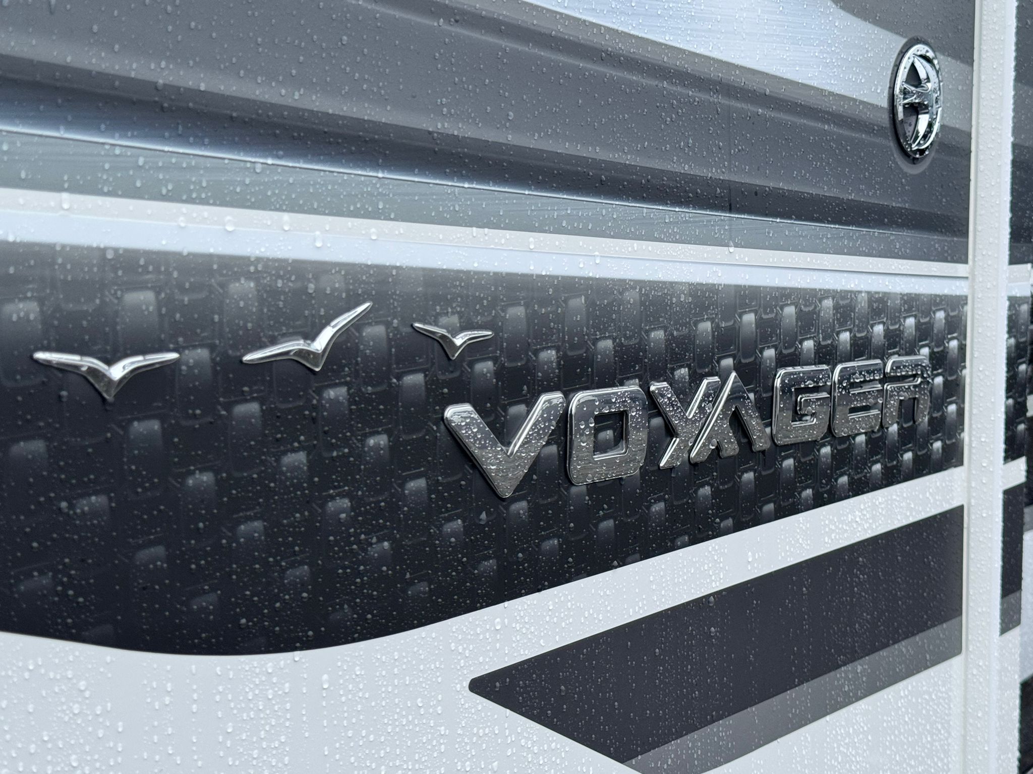Detail Shot