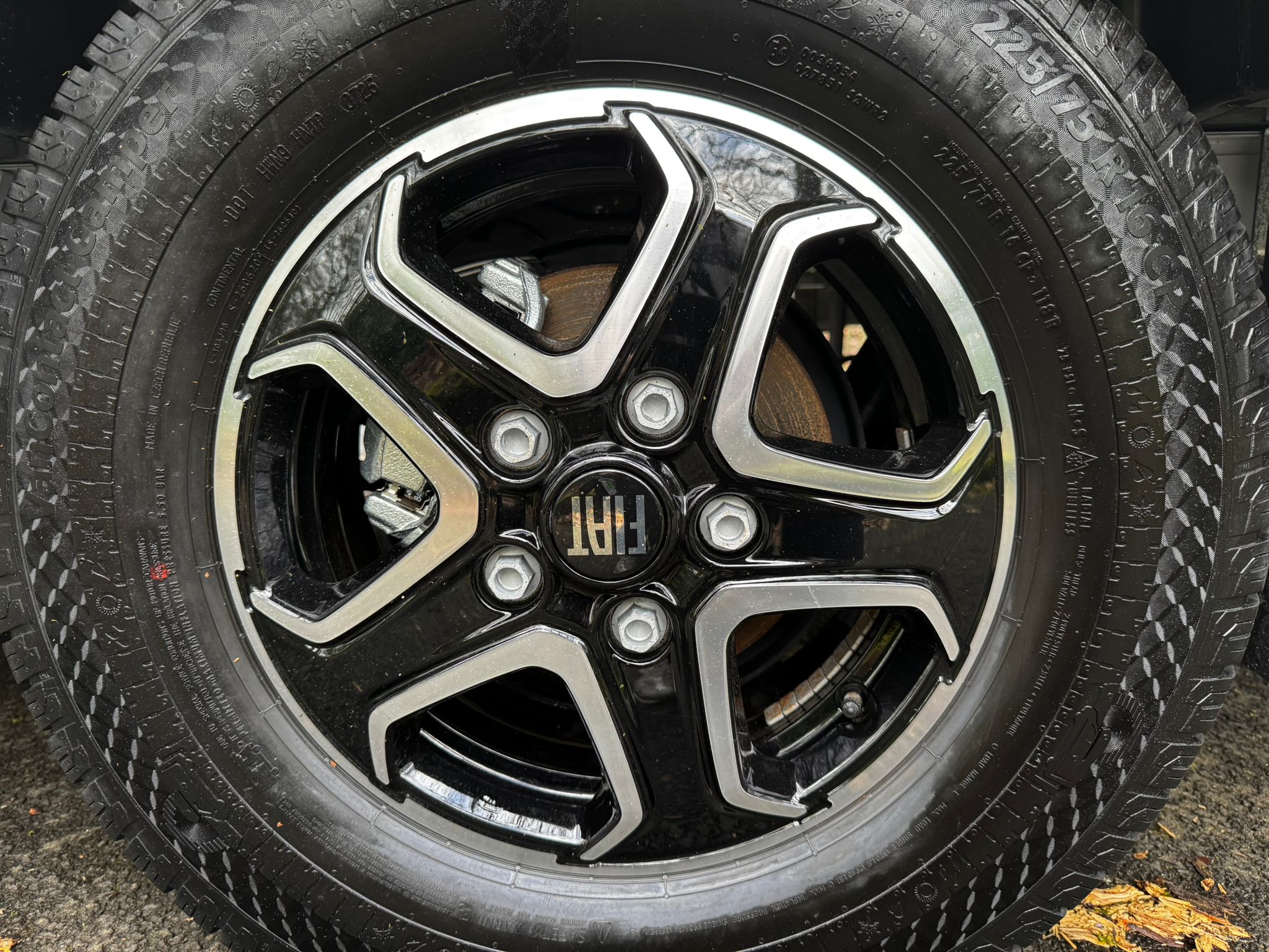 Detail Shot