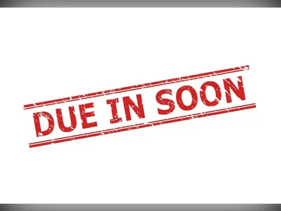 2026 Elddis Crusader SHAMAL NEW FOR