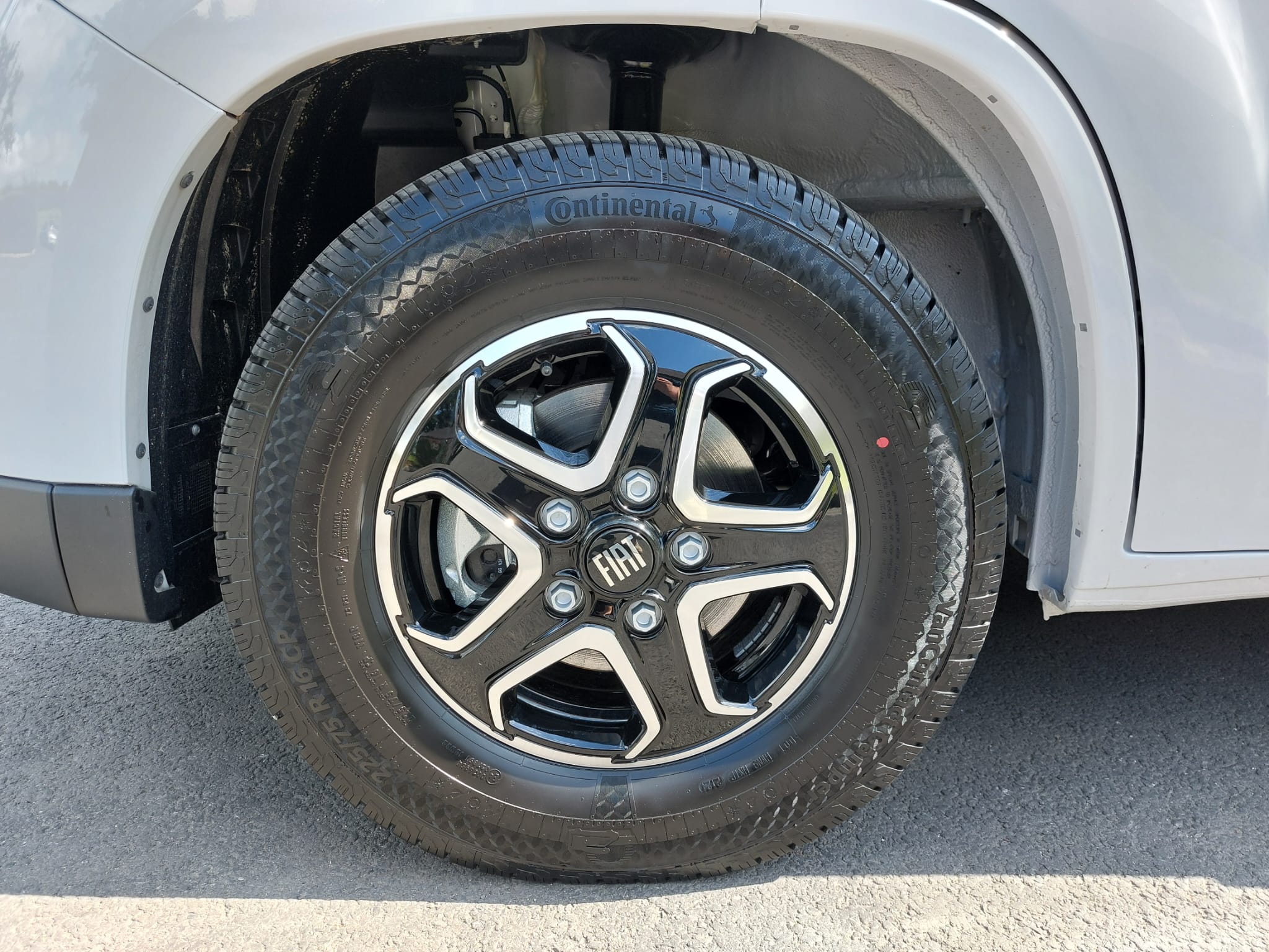 Detail Shot