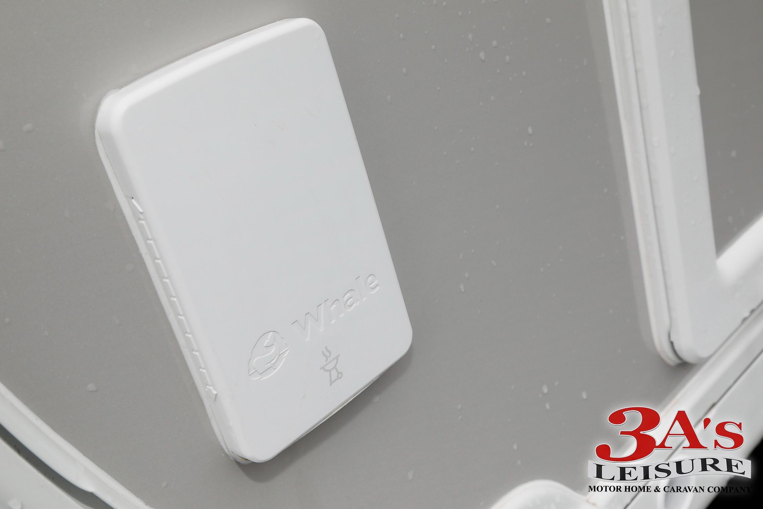 Detail Shot