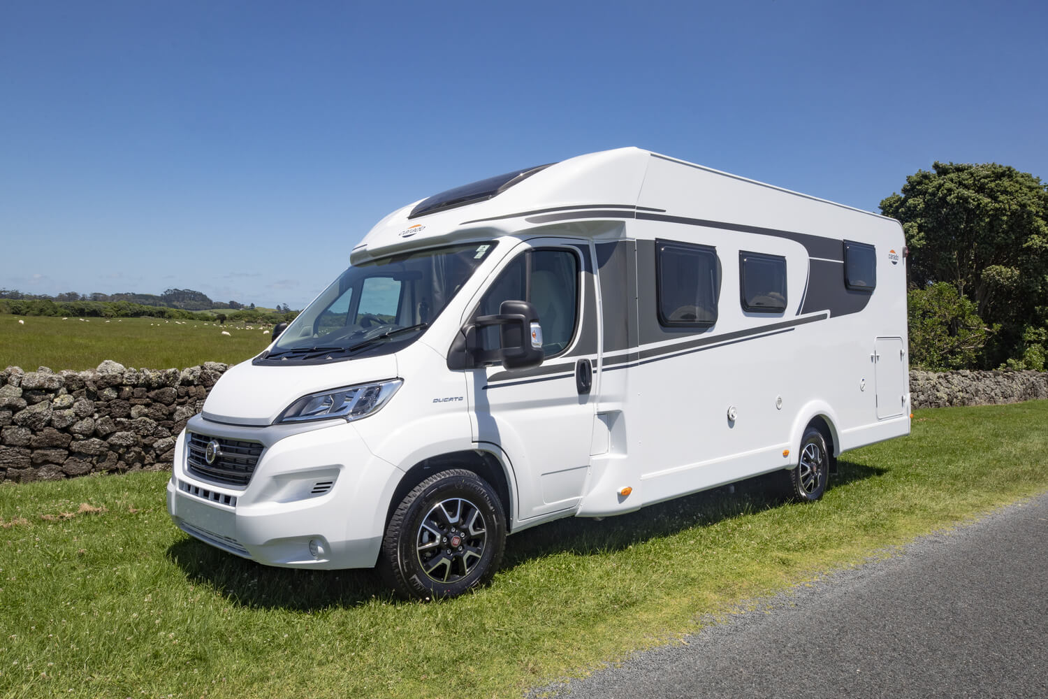 Carado T447